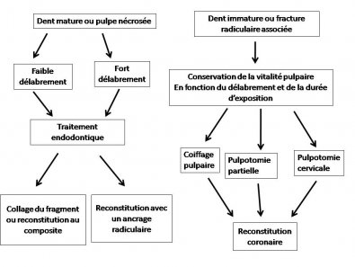 Arbre décisionnel